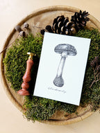 Grußkarte Glückspilz