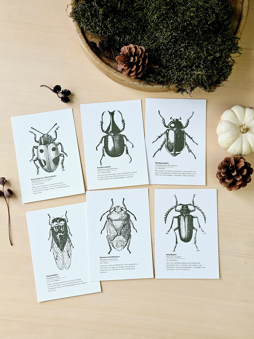 6er Grußkarten Set Von Punkten, Hörnern & Flügeln