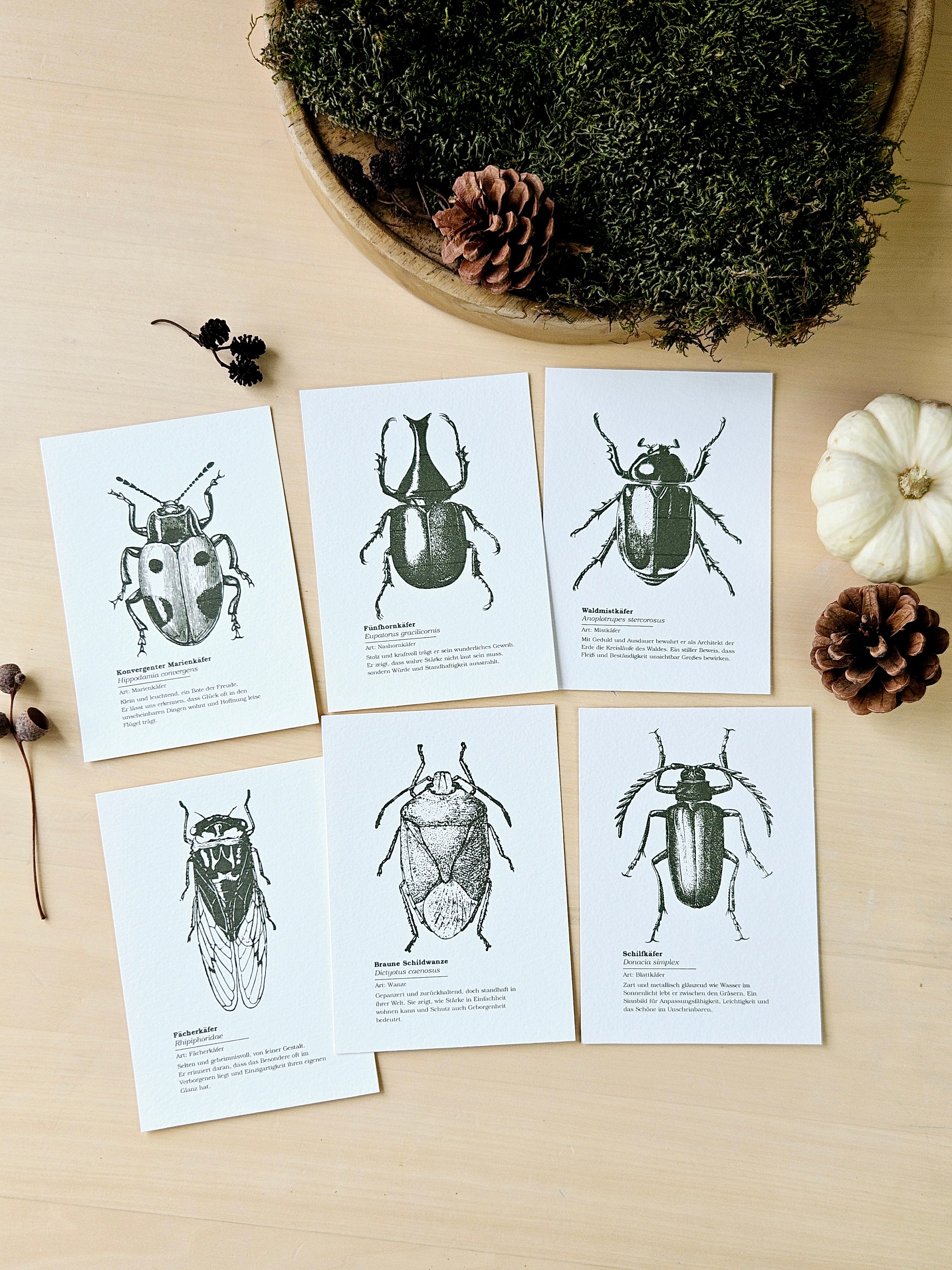 6er Grußkarten Set Von Punkten, Hörnern & Flügeln