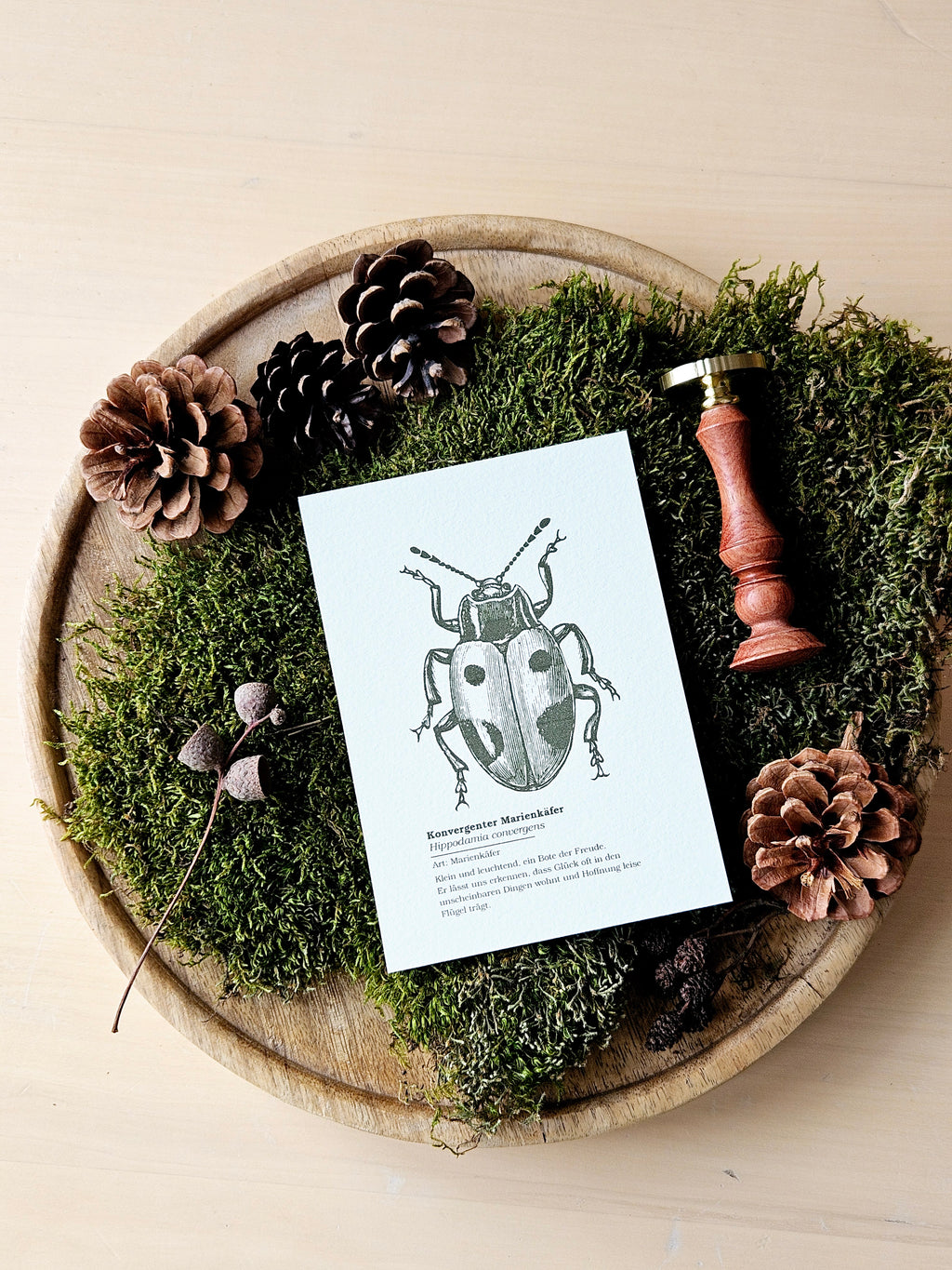 6er Grußkarten Set Von Punkten, Hörnern & Flügeln