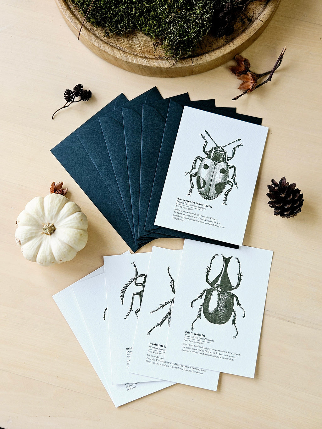 6er Grußkarten Set Von Punkten, Hörnern & Flügeln