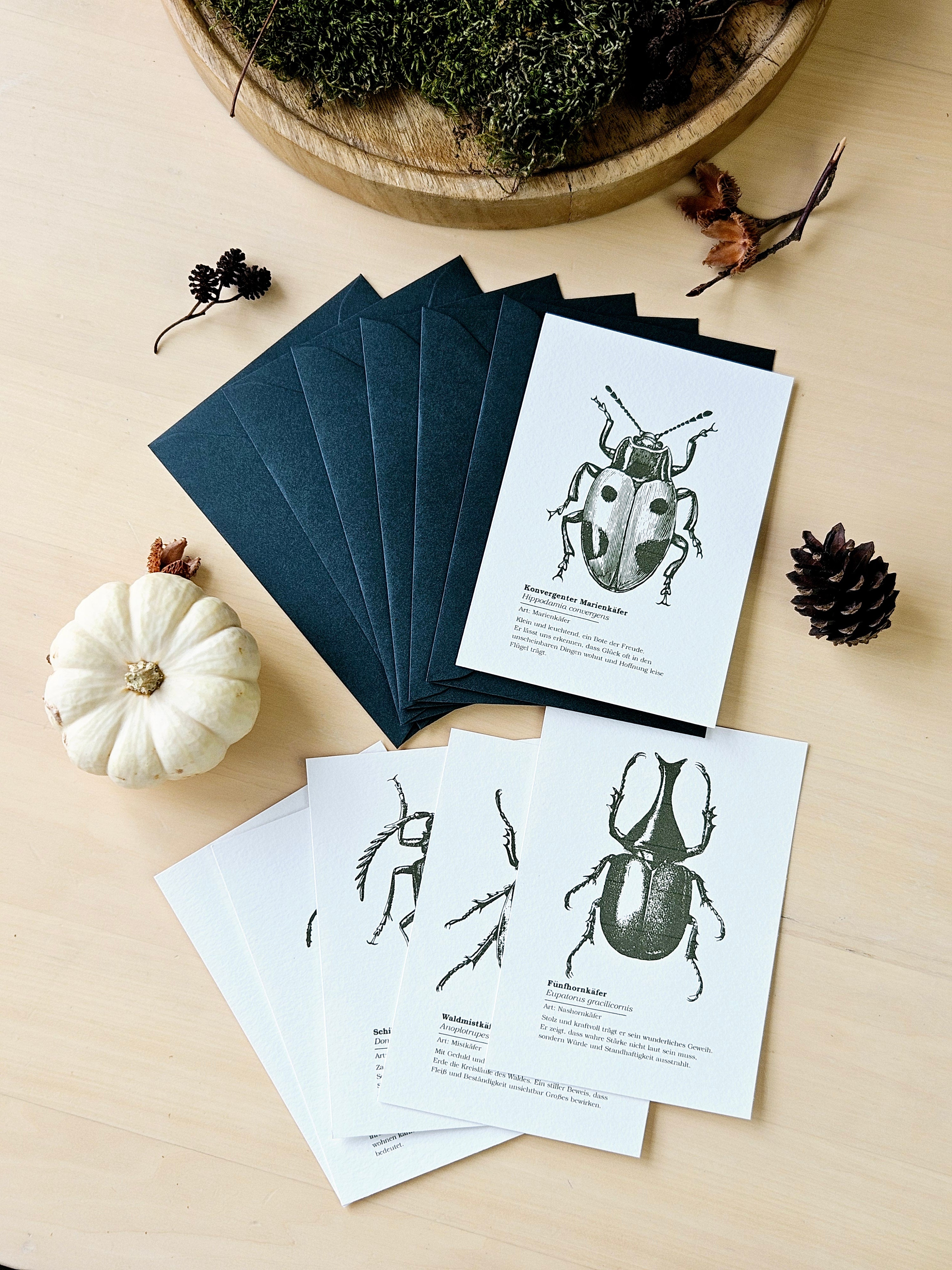 6er Grußkarten Set Von Punkten, Hörnern & Flügeln