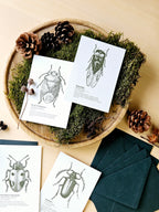 6er Grußkarten Set Von Punkten, Hörnern & Flügeln