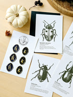 6er Grußkarten Set Von Punkten, Hörnern & Flügeln