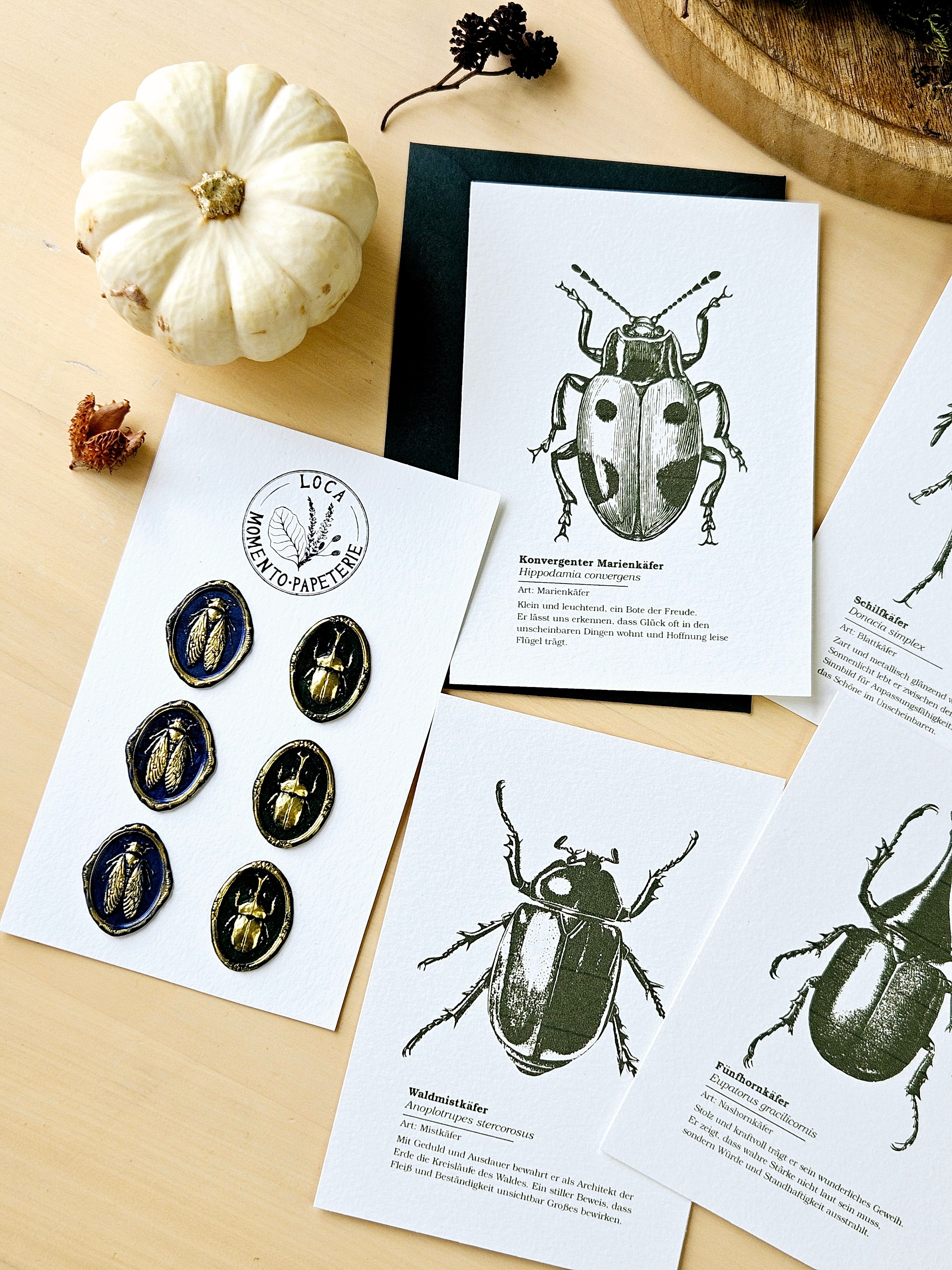 6er Grußkarten Set Von Punkten, Hörnern & Flügeln