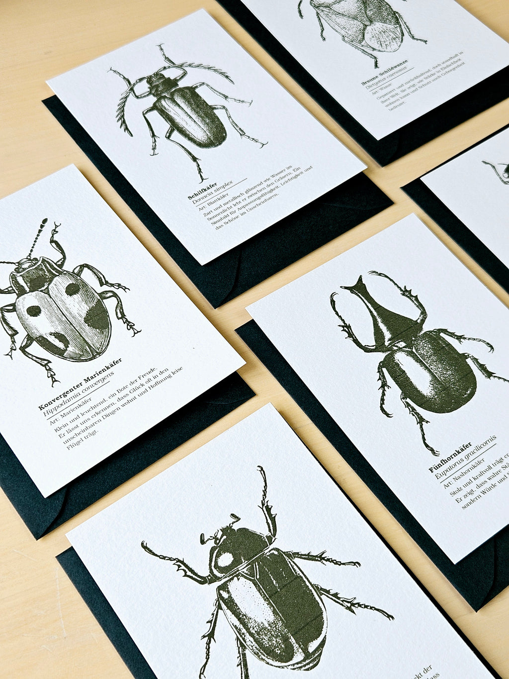 6er Grußkarten Set Von Punkten, Hörnern & Flügeln