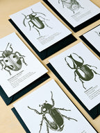 6er Grußkarten Set Von Punkten, Hörnern & Flügeln