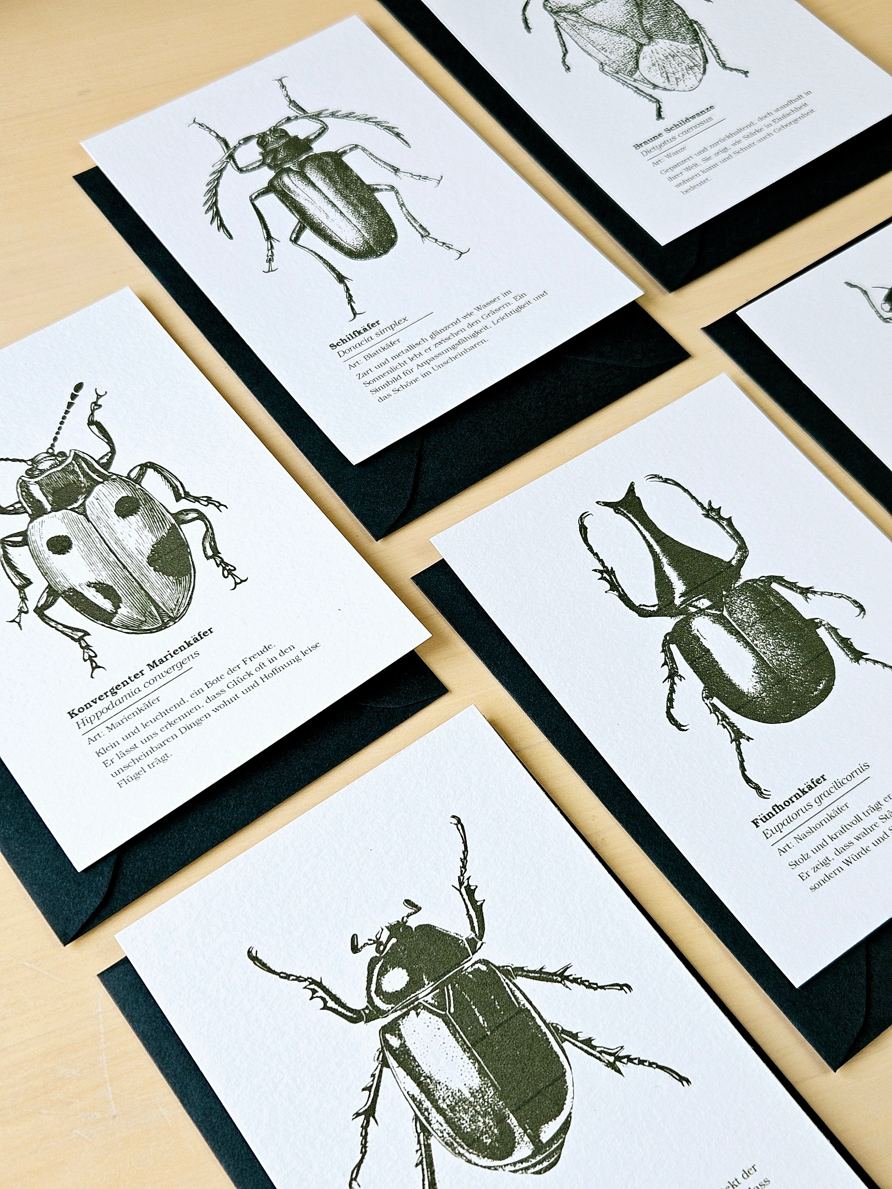 6er Grußkarten Set Von Punkten, Hörnern & Flügeln