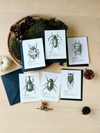 6er Grußkarten Set Von Punkten, Hörnern & Flügeln