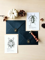 6er Grußkarten Set Von Punkten, Hörnern & Flügeln