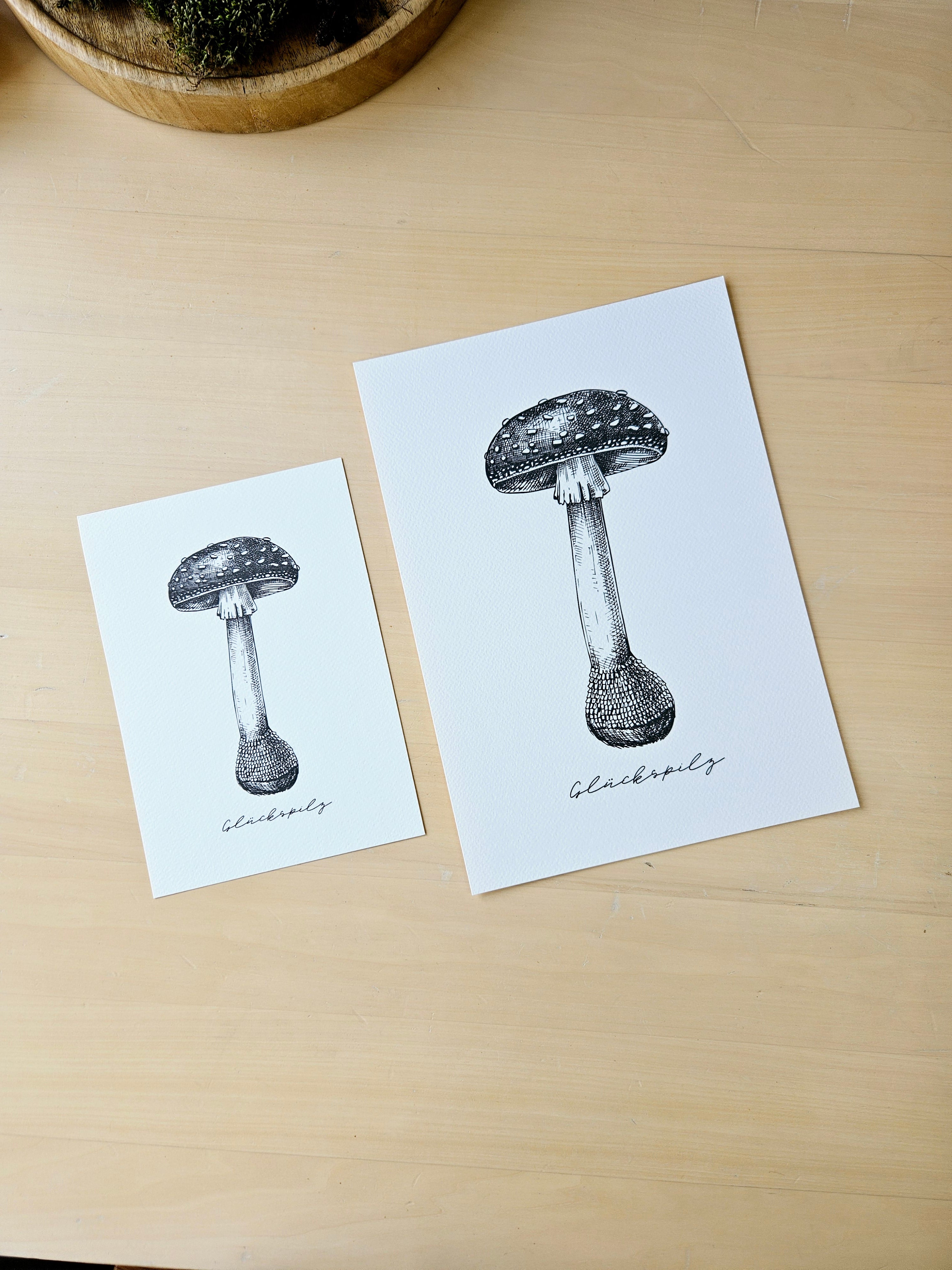 Kunstdruck Glückspilz