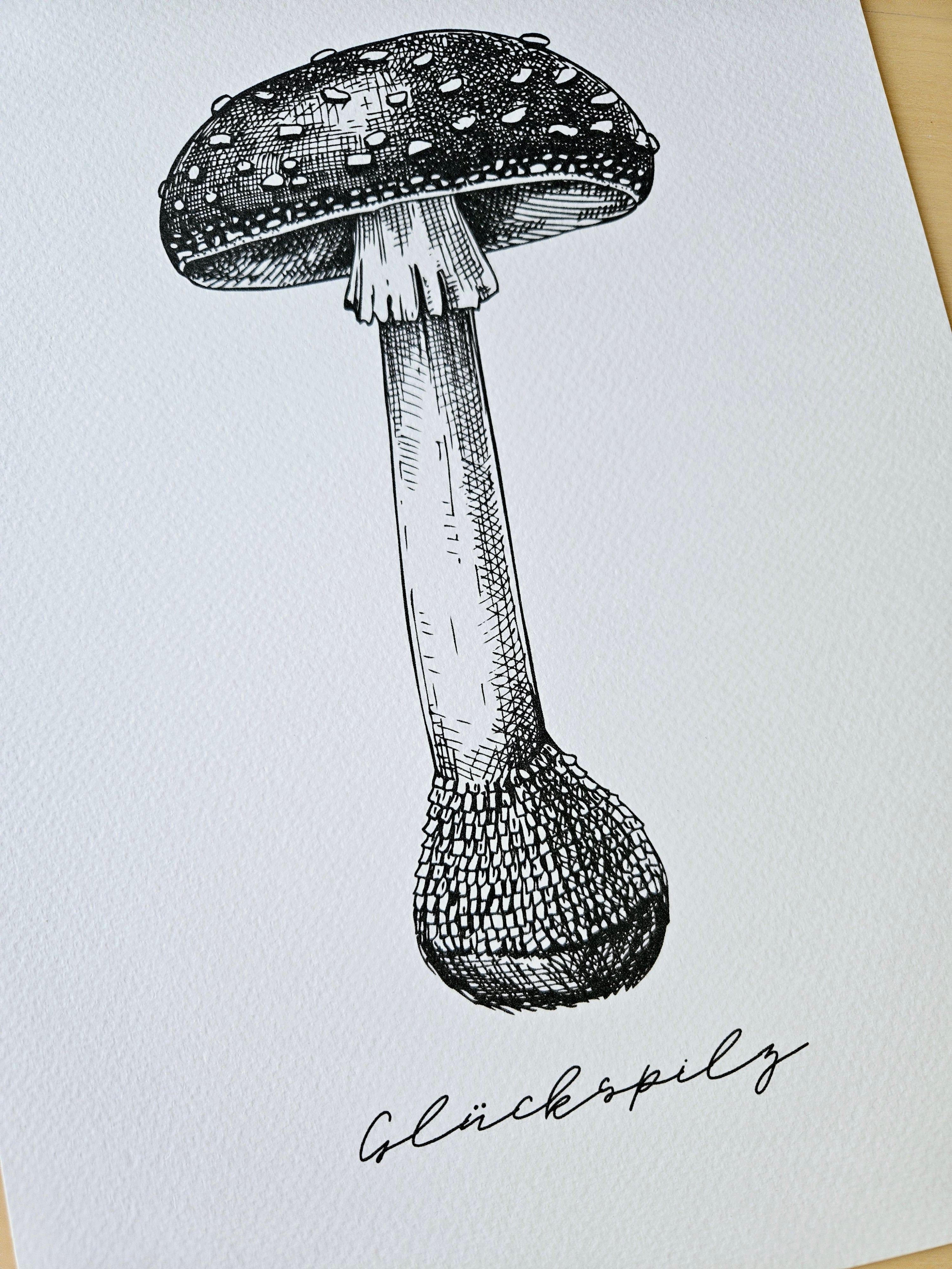 Kunstdruck Glückspilz