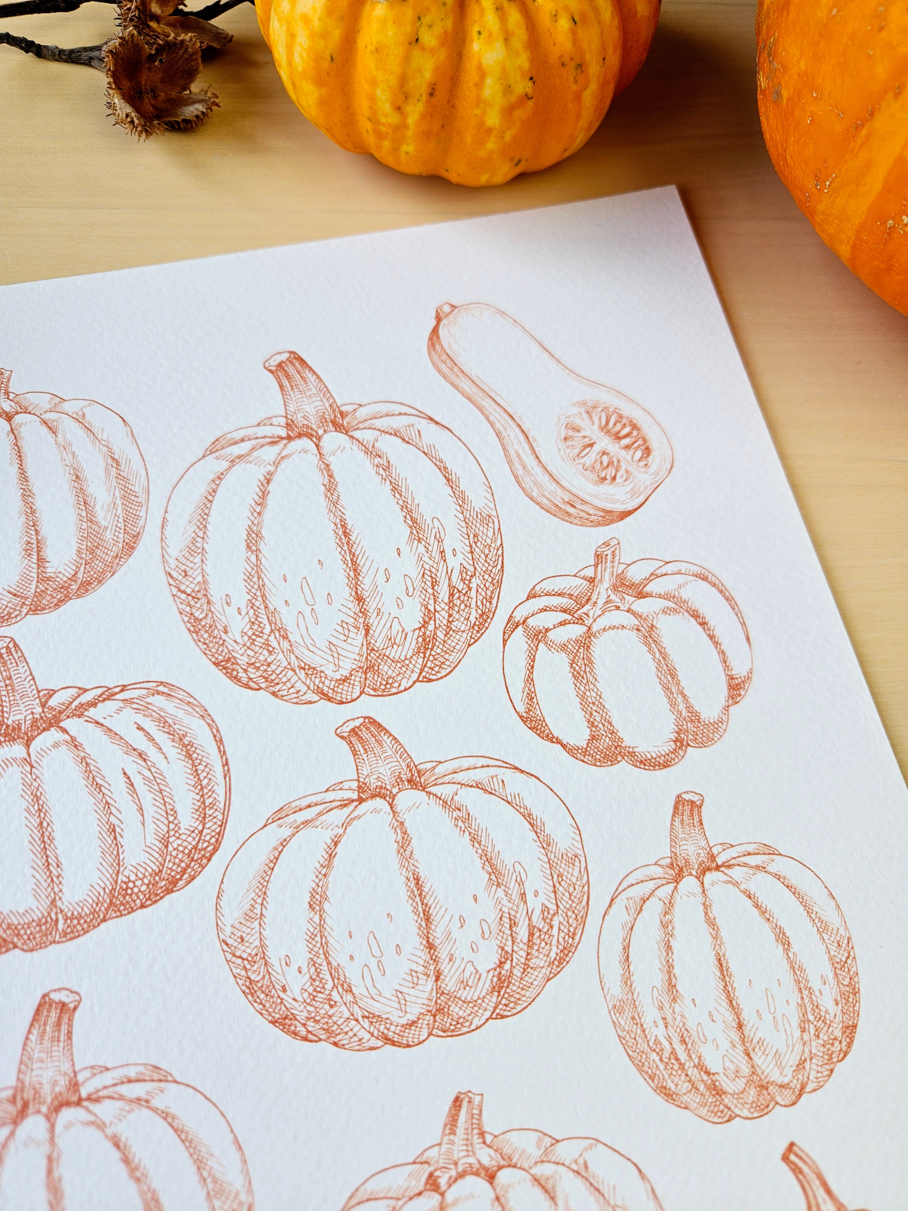 Kunstdruck Kürbiszeit