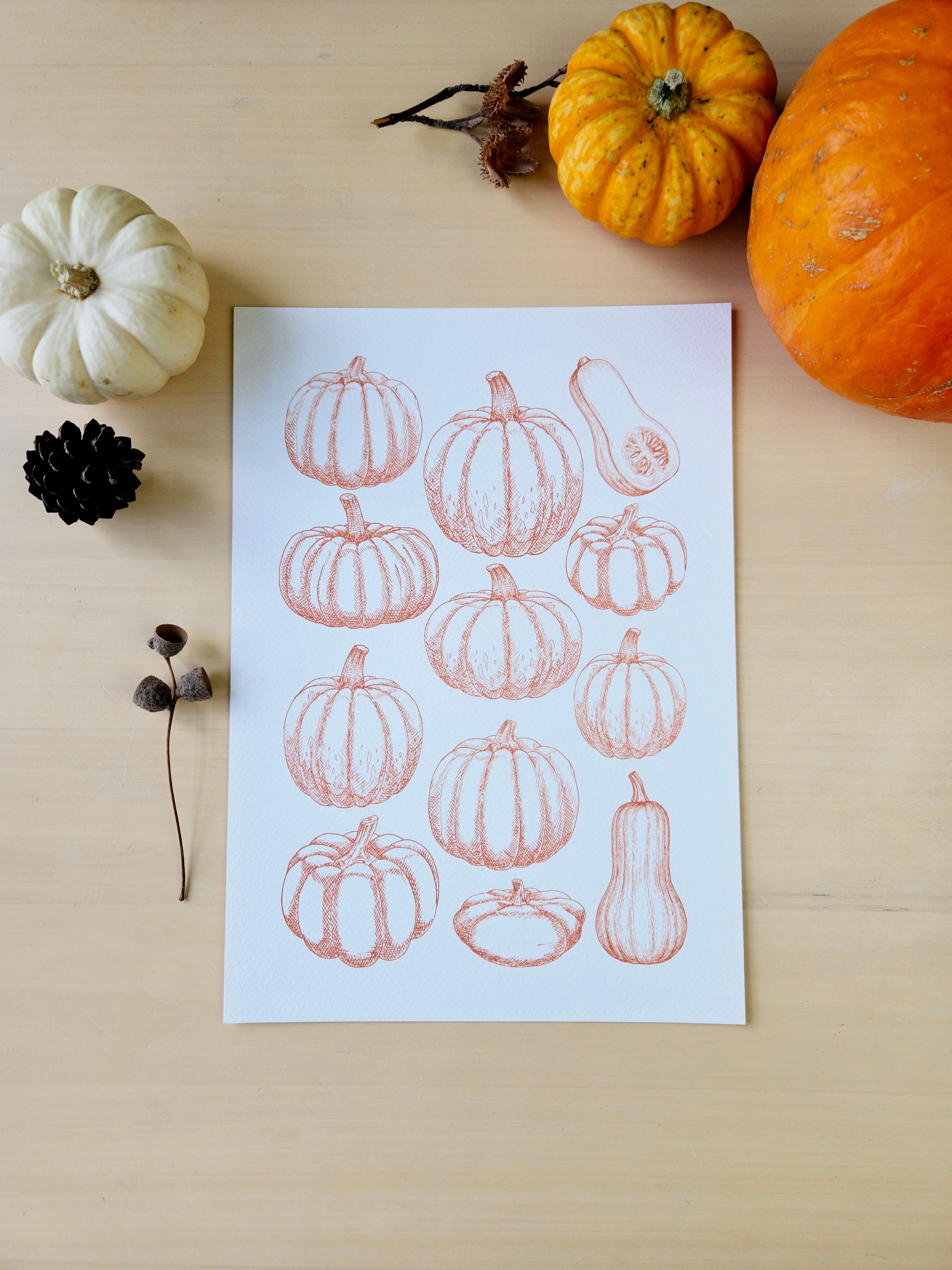 Kunstdruck Kürbiszeit