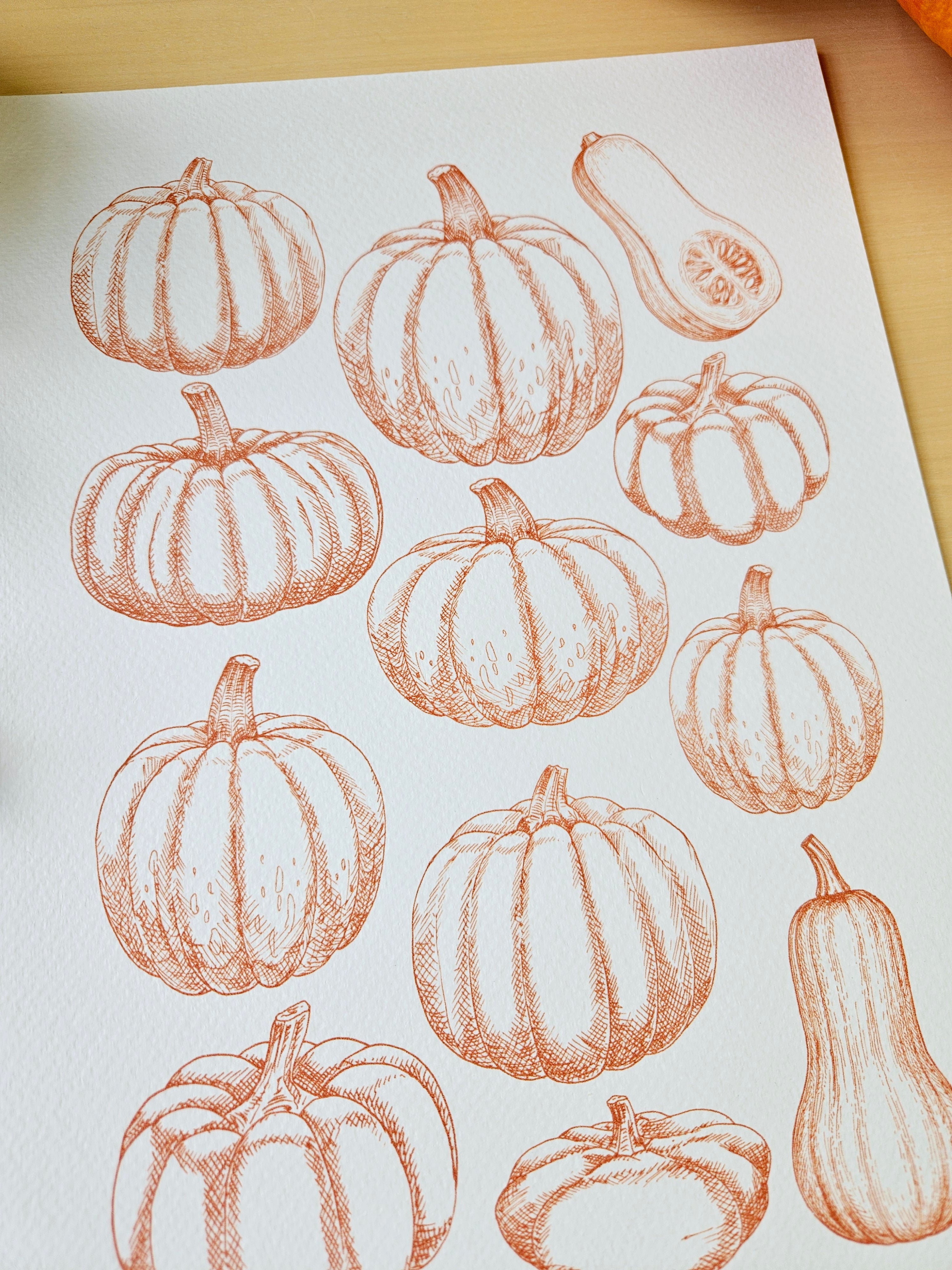 Kunstdruck Kürbiszeit