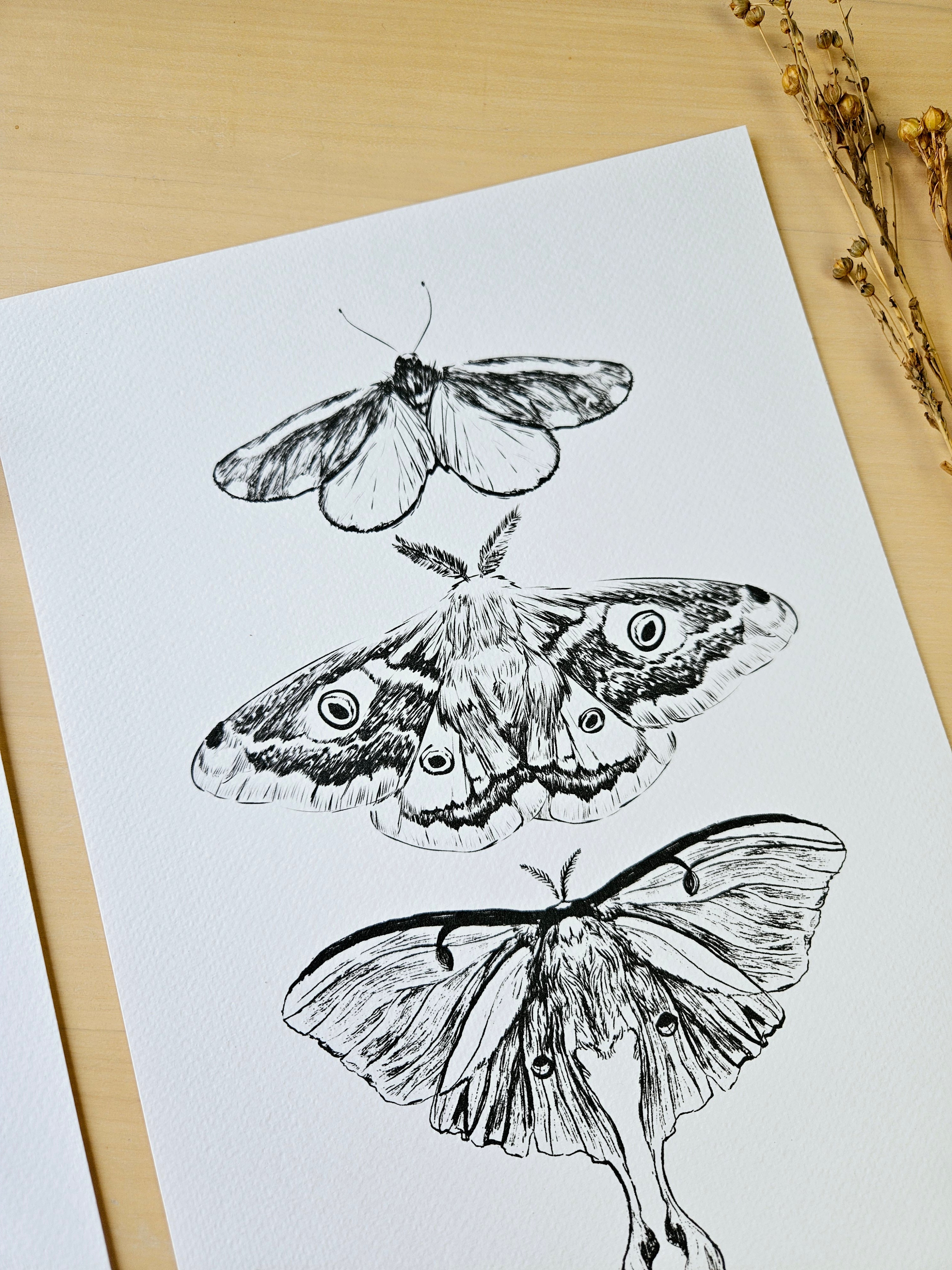 Kunstdruck Dem Licht entgegen