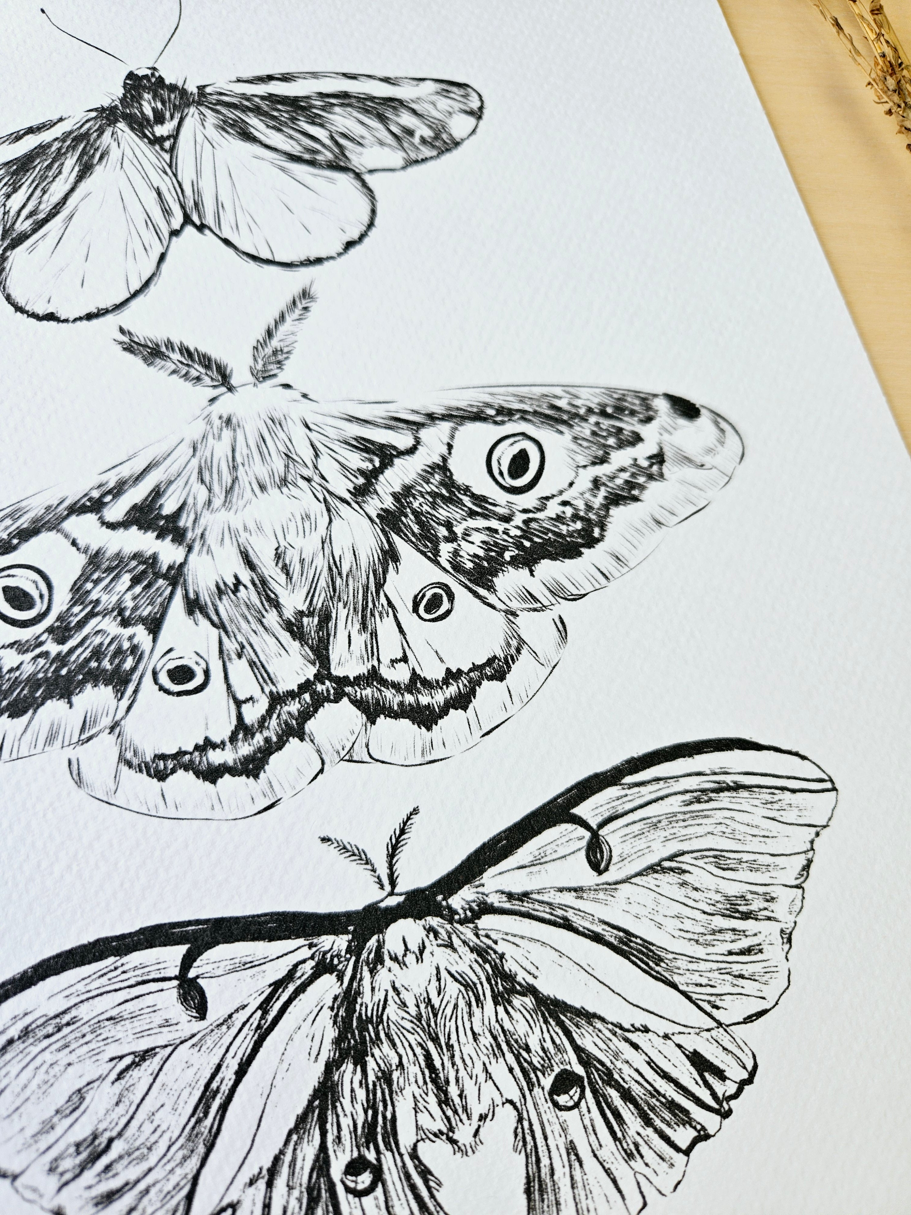 Kunstdruck Dem Licht entgegen