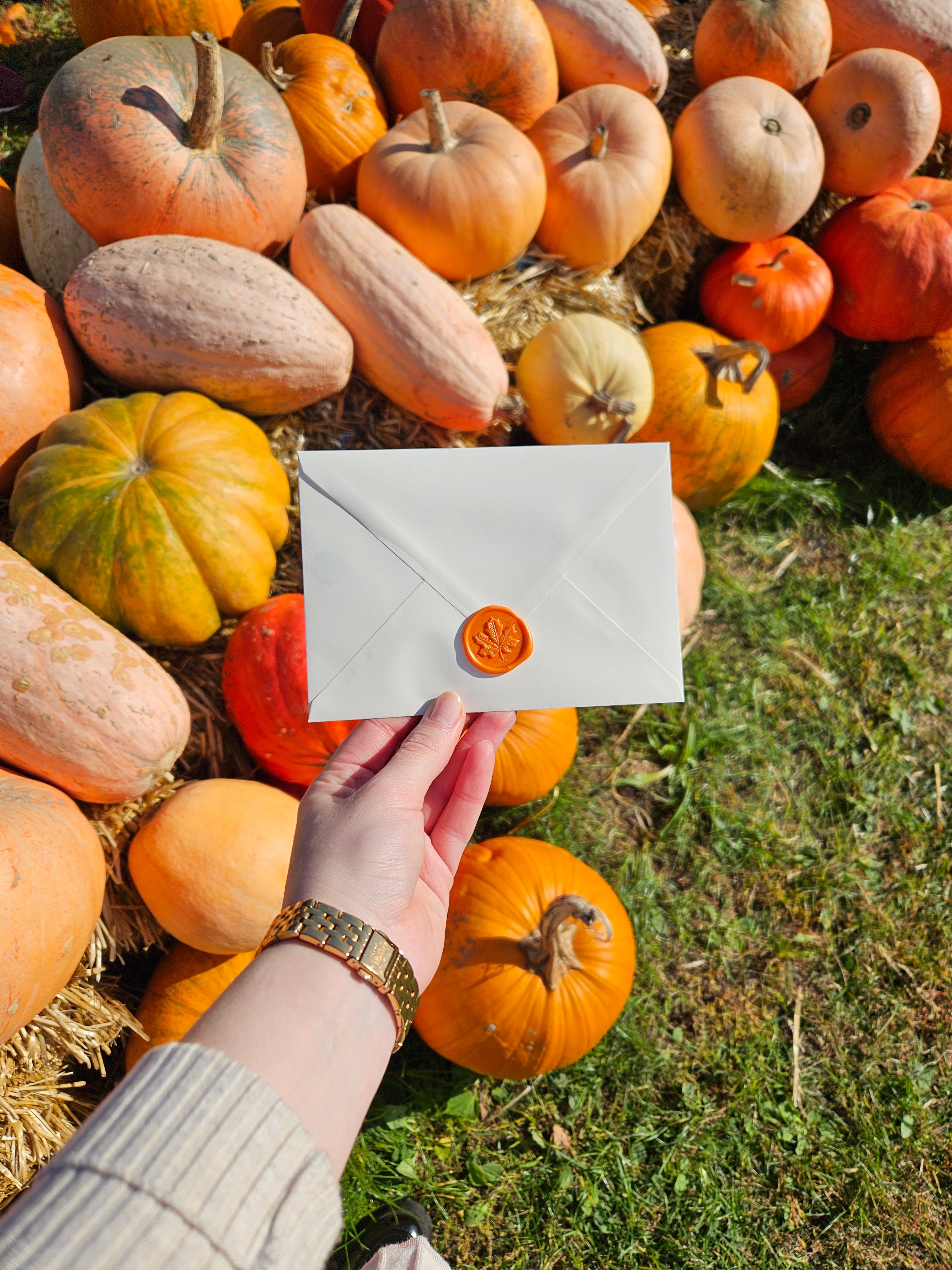 Grußkarte Kürbiszeit