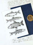 Grußkarte Maritimer Fischzug