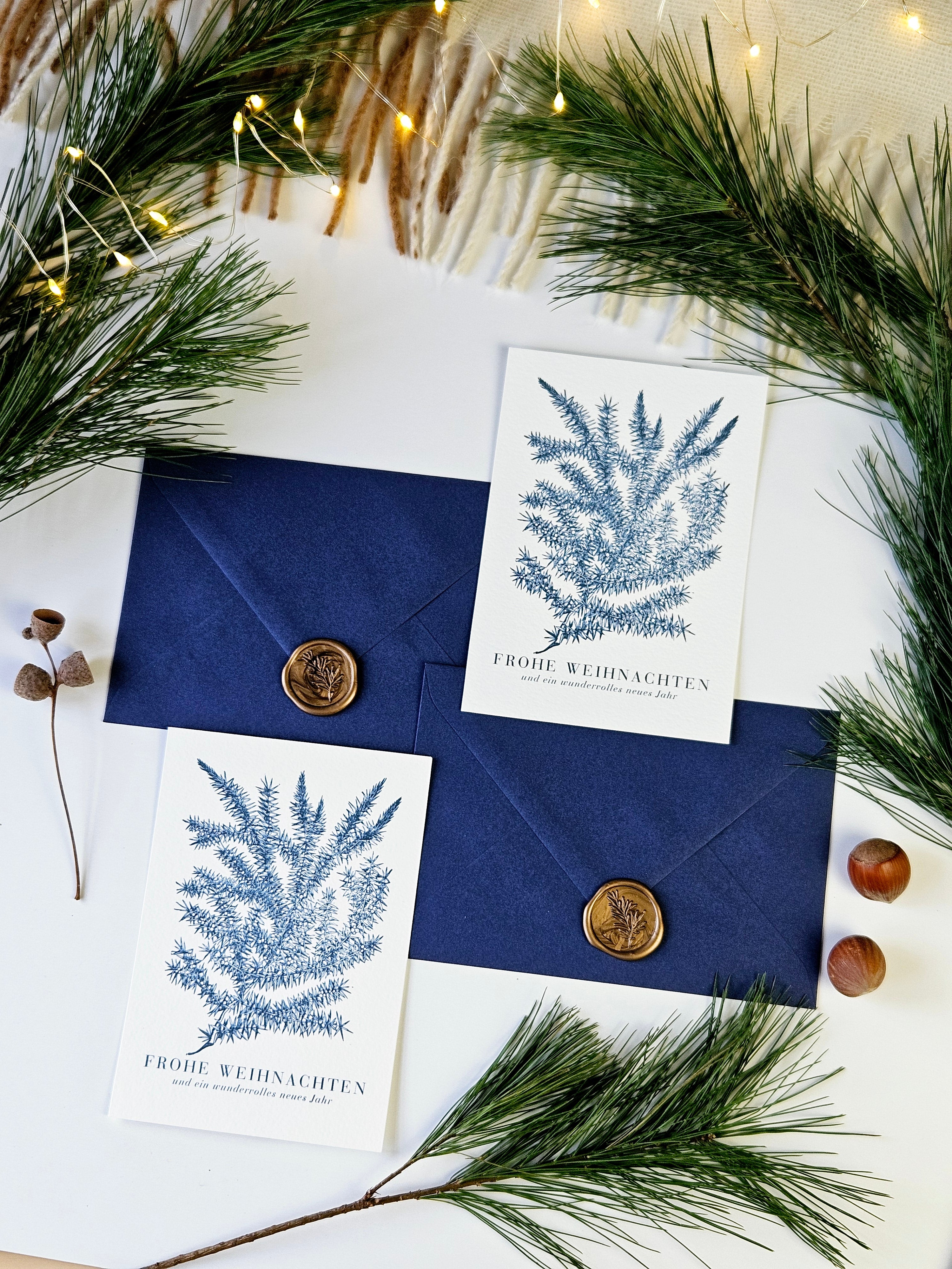 Weihnachtskarte Wintergrüner Wacholder