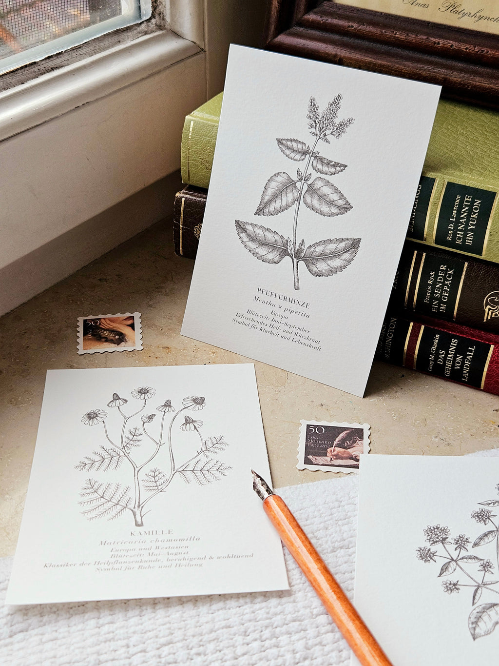 6er Set Kartenreihe Küchenkräuter Herbarium