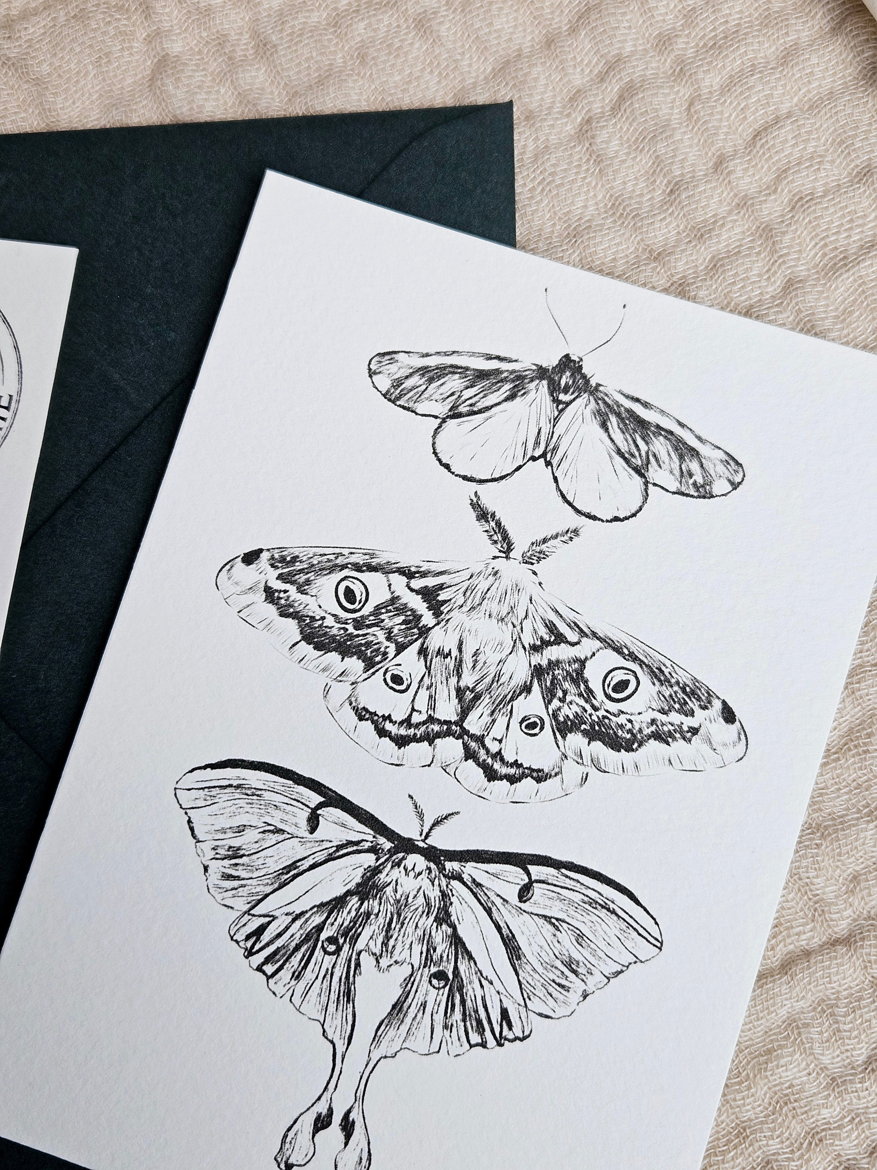 Grußkarte Dem Licht entgegen Motten Illustration