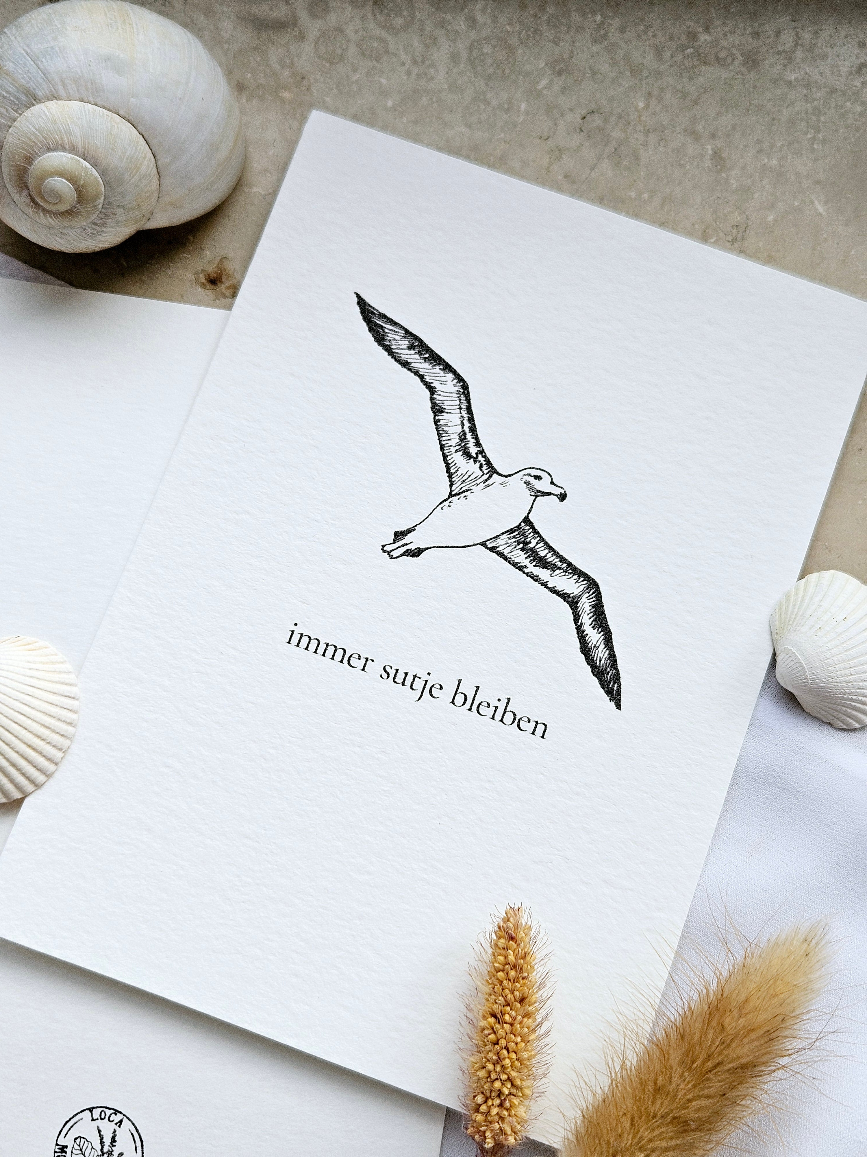 Plattdeutsche Grußkarte Möwe "Immer sutje bleiben"
