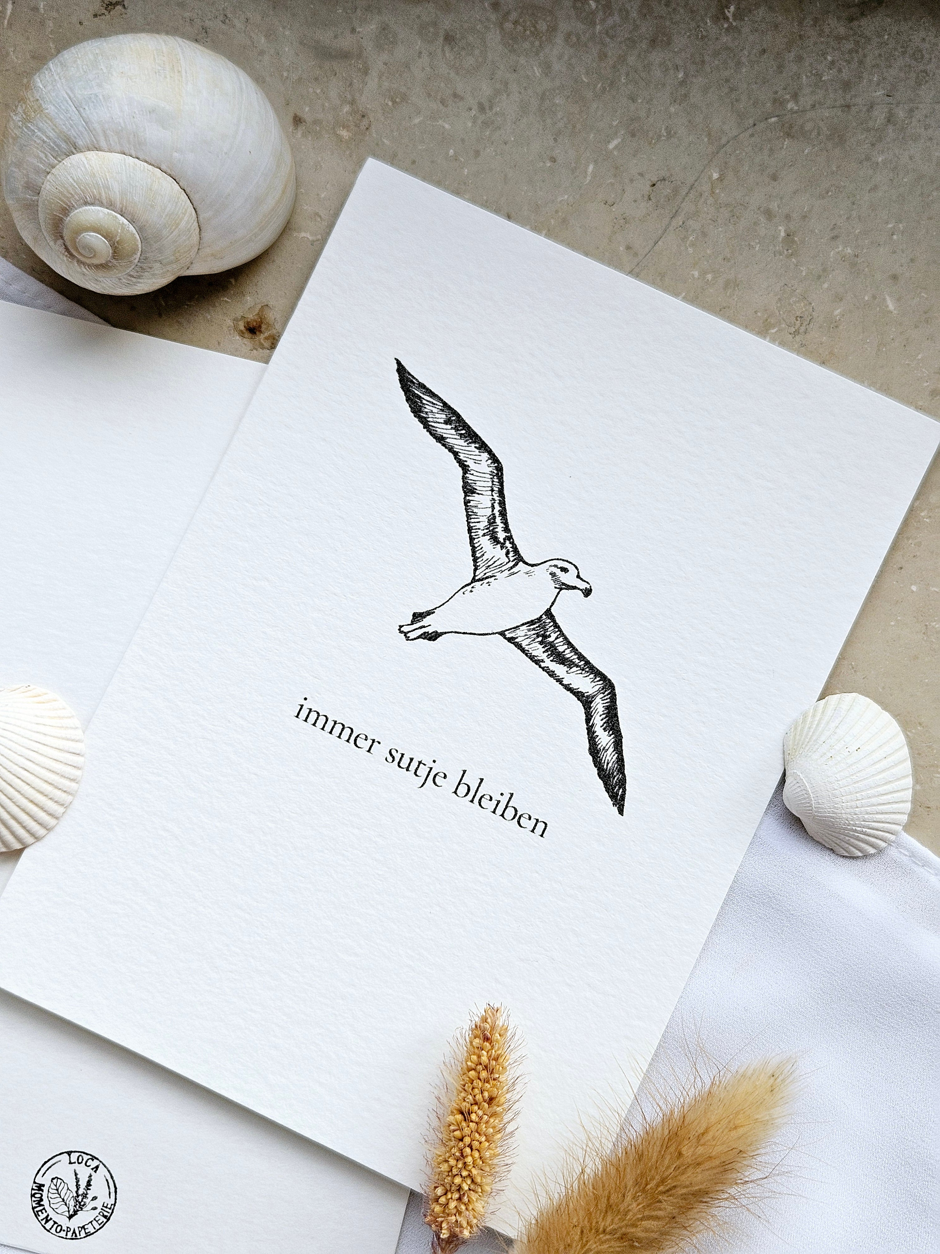 Plattdeutsche Grußkarte Möwe "Immer sutje bleiben"