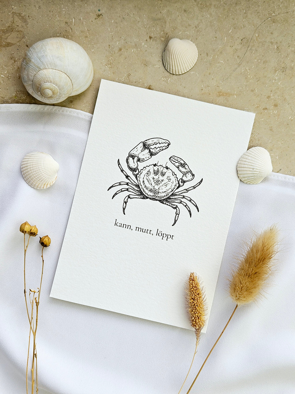 Plattdeutsche Grußkarte Krabbe "kann, mutt, löppt"