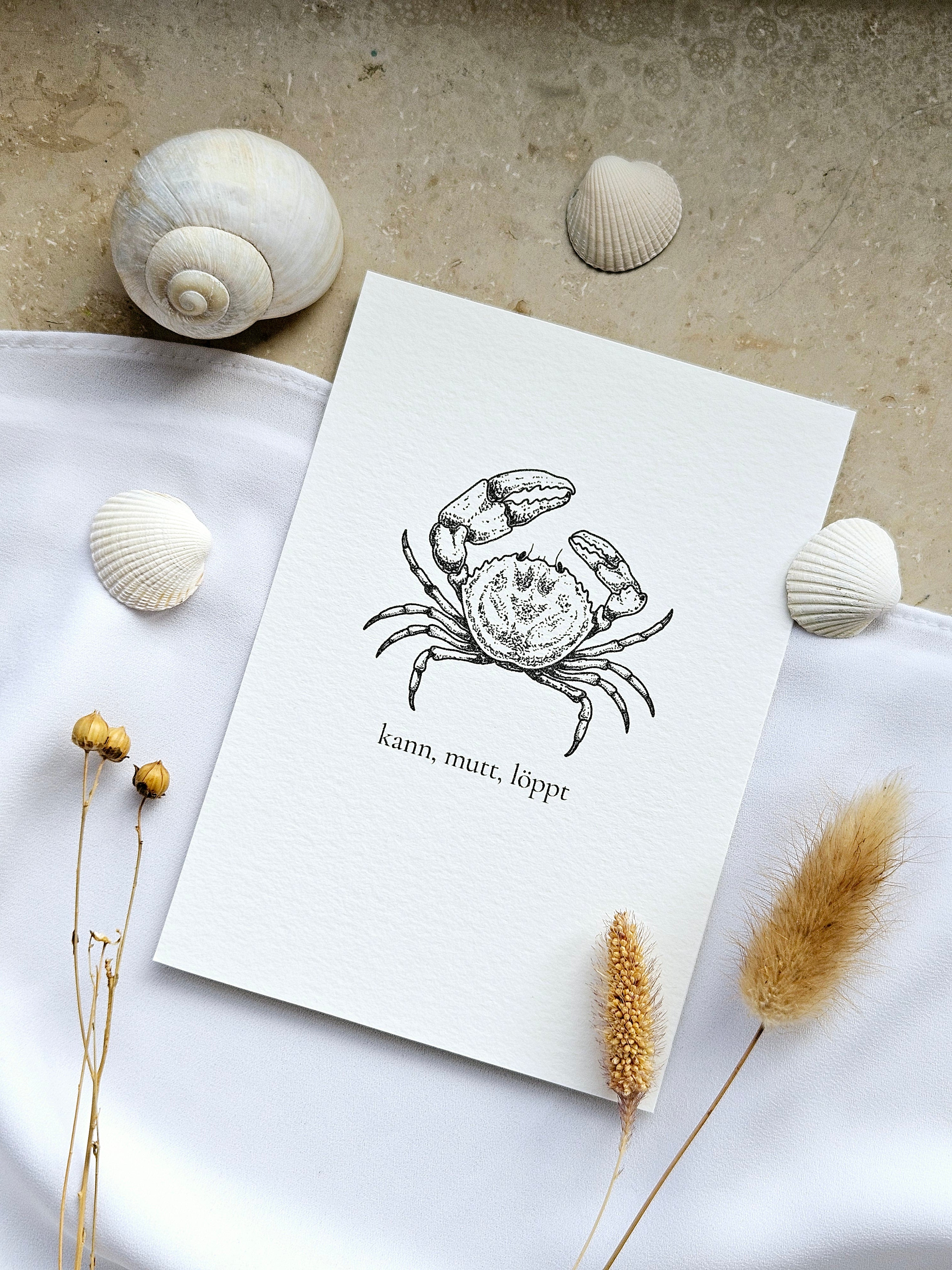 Plattdeutsche Grußkarte Krabbe "kann, mutt, löppt"