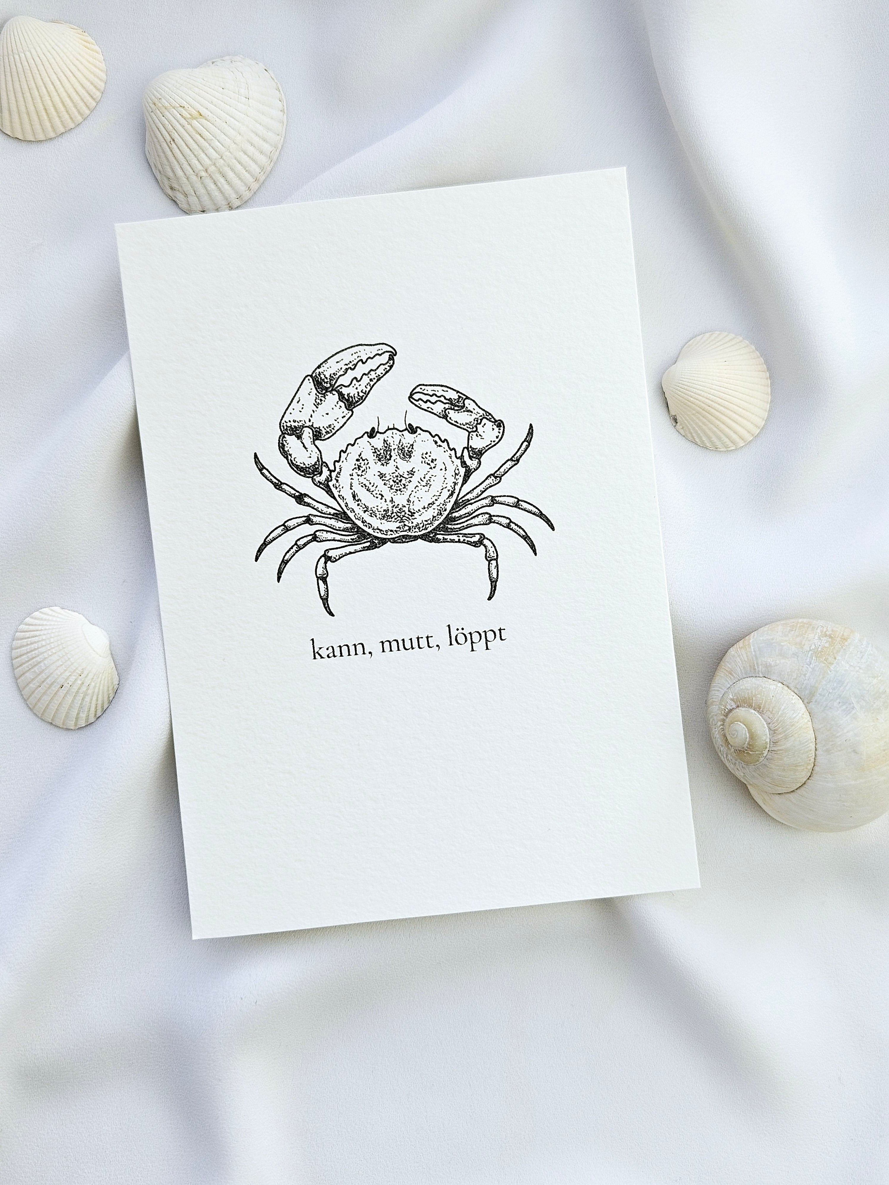 Plattdeutsche Grußkarte Krabbe "kann, mutt, löppt"