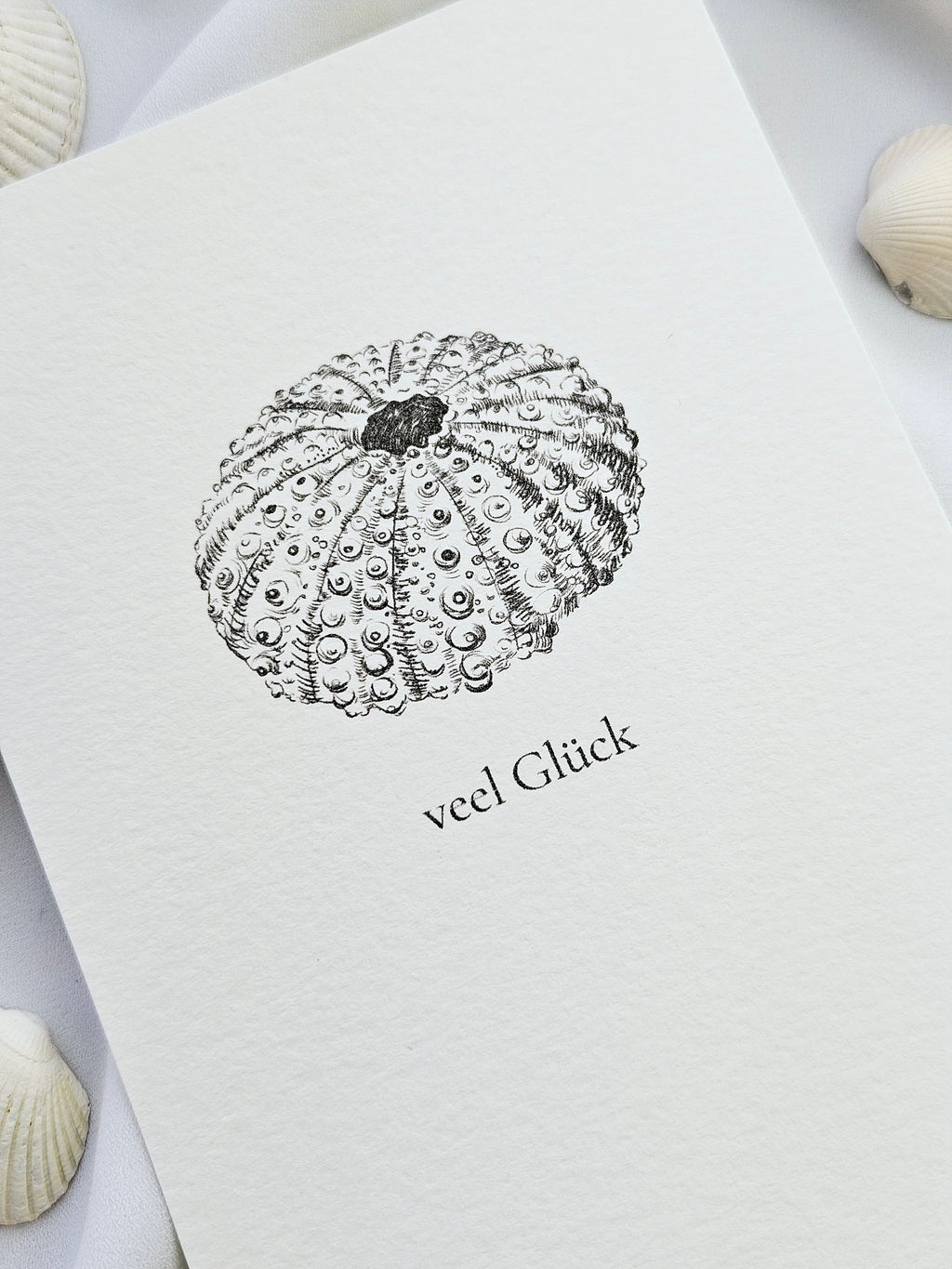 Plattdeutsche Grußkarte Seeigel "Veel Glück"