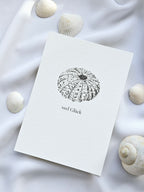 Plattdeutsche Grußkarte Seeigel "Veel Glück"