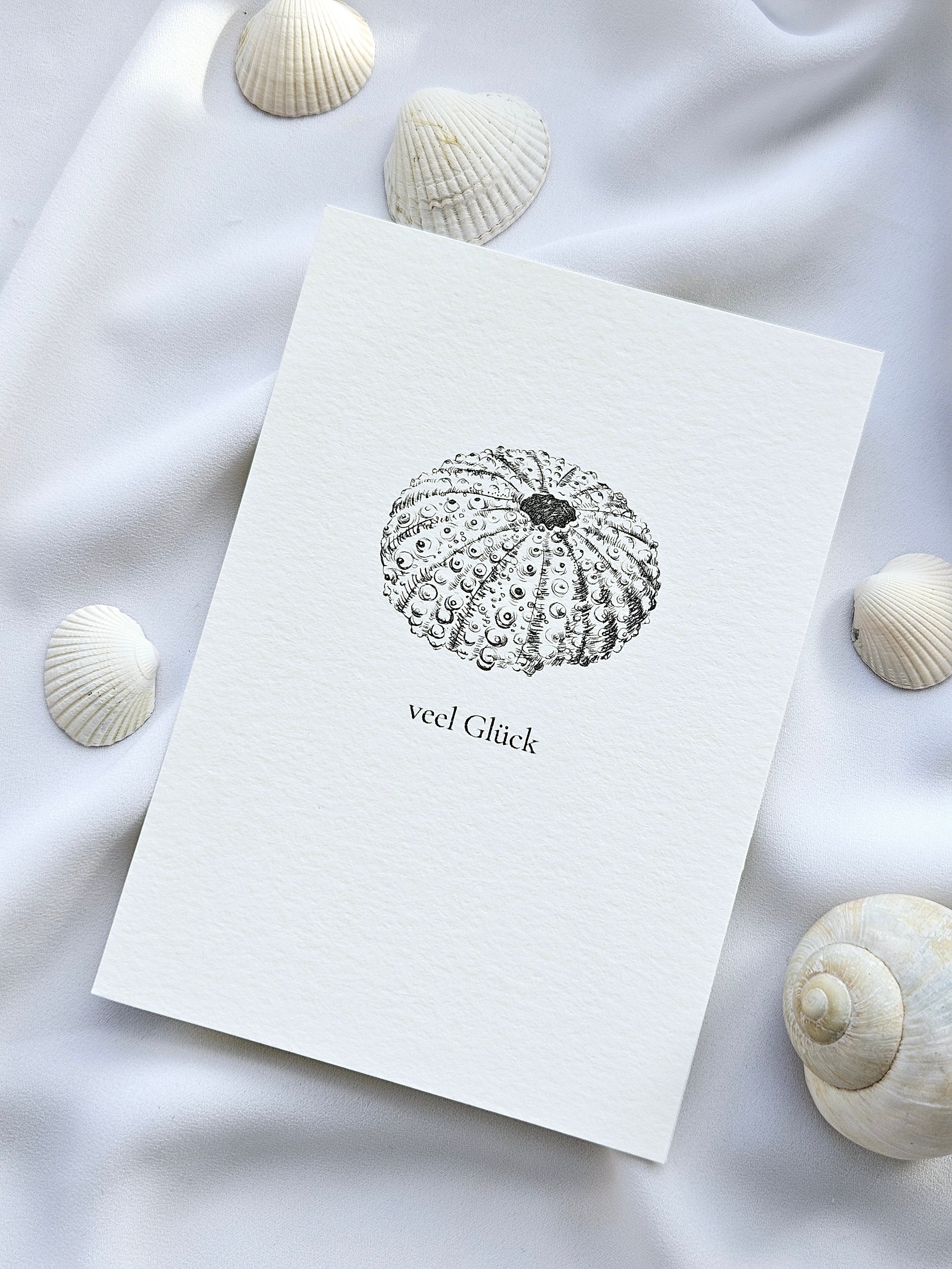 Plattdeutsche Grußkarte Seeigel "Veel Glück"