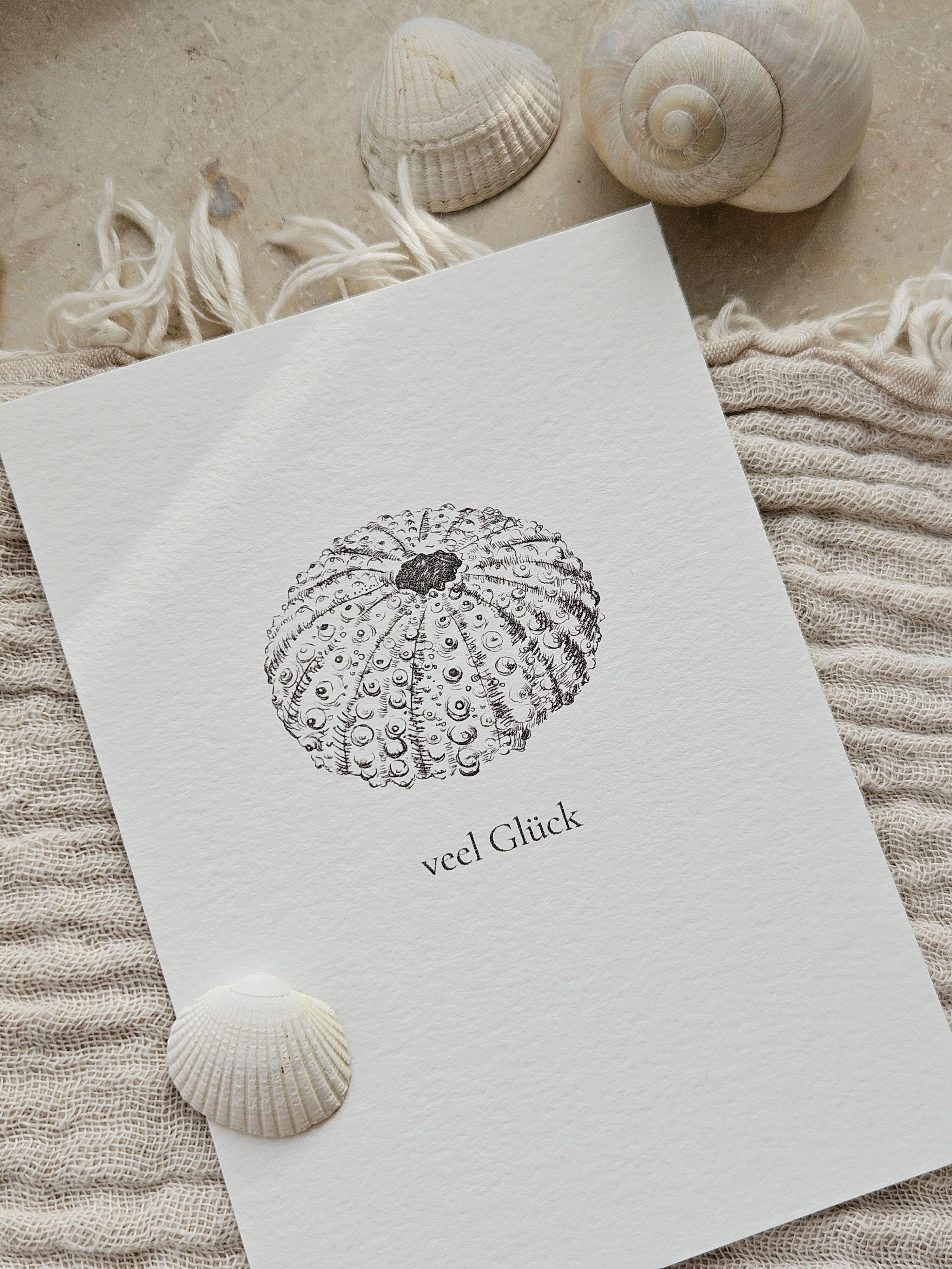Plattdeutsche Grußkarte Seeigel "Veel Glück"