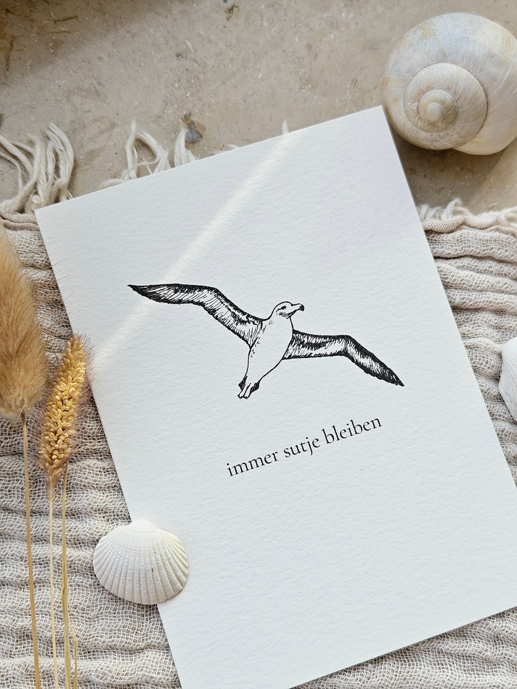 Plattdeutsche Grußkarte Möwe "Immer sutje bleiben"
