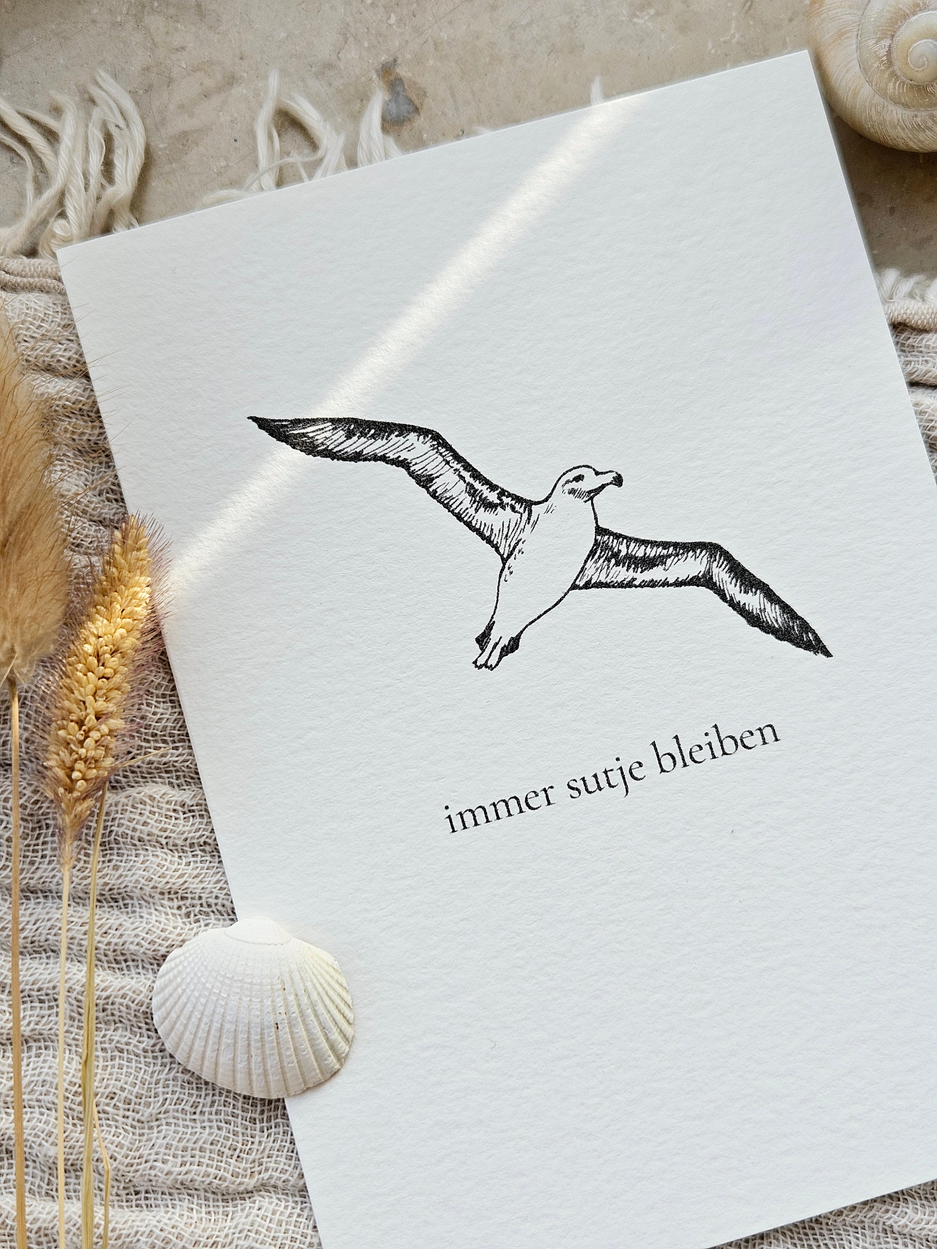 Plattdeutsche Grußkarte Möwe "Immer sutje bleiben"