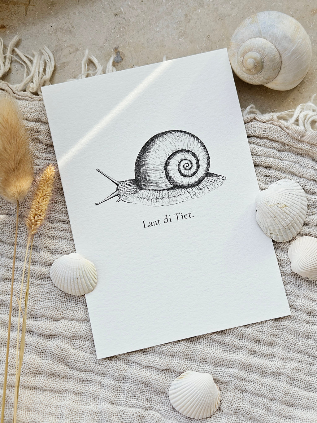 Plattdeutsche Grußkarte Schnecke "Laat di Tiet"