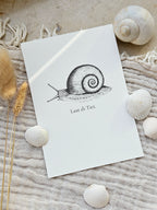 Plattdeutsche Grußkarte Schnecke "Laat di Tiet"