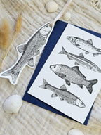 Geschenkanhänger Fisch Illustration