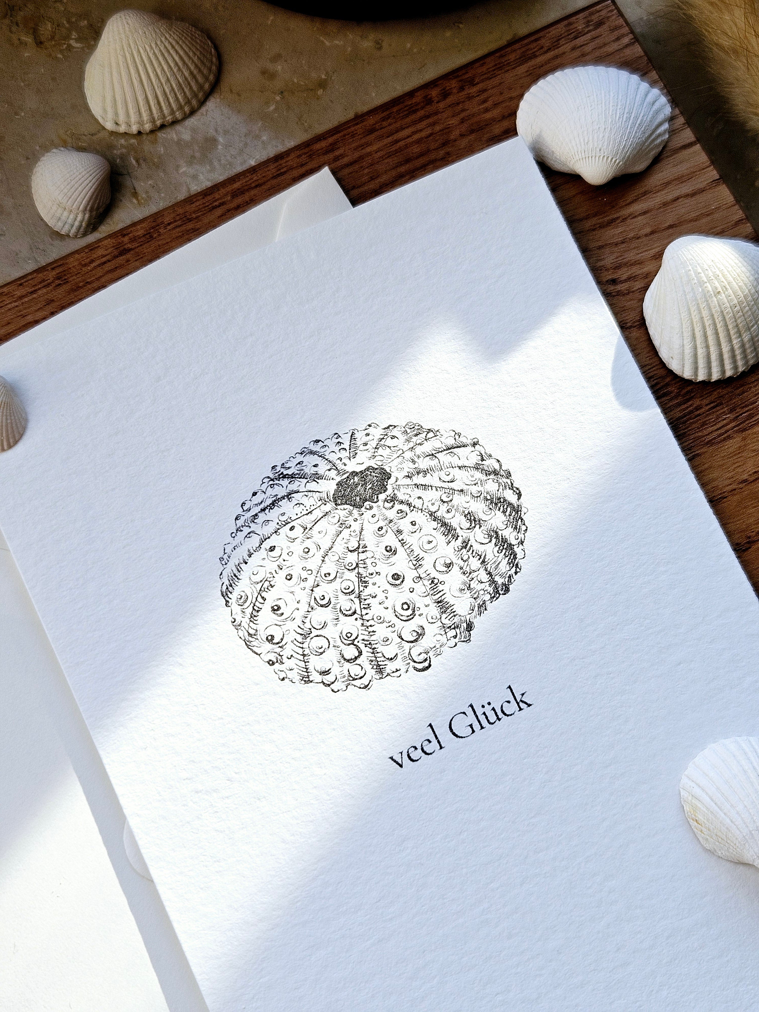 Plattdeutsche Grußkarte Seeigel "Veel Glück"