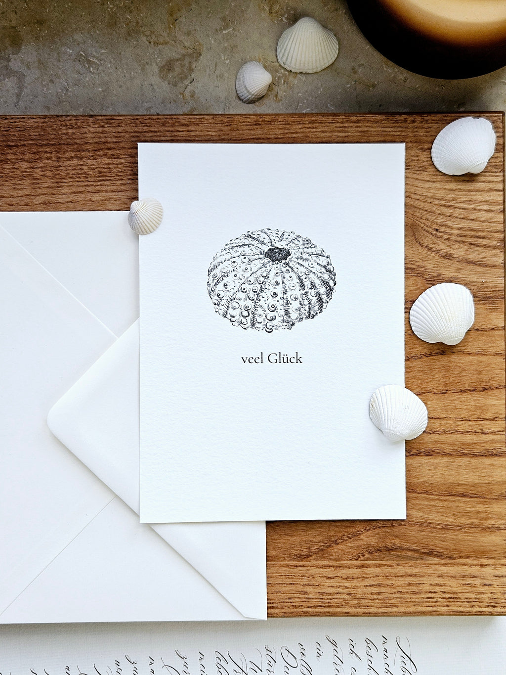 Plattdeutsche Grußkarte Seeigel "Veel Glück"