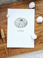 Plattdeutsche Grußkarte Seeigel "Veel Glück"