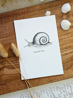 Plattdeutsche Grußkarte Schnecke "Laat di Tiet"