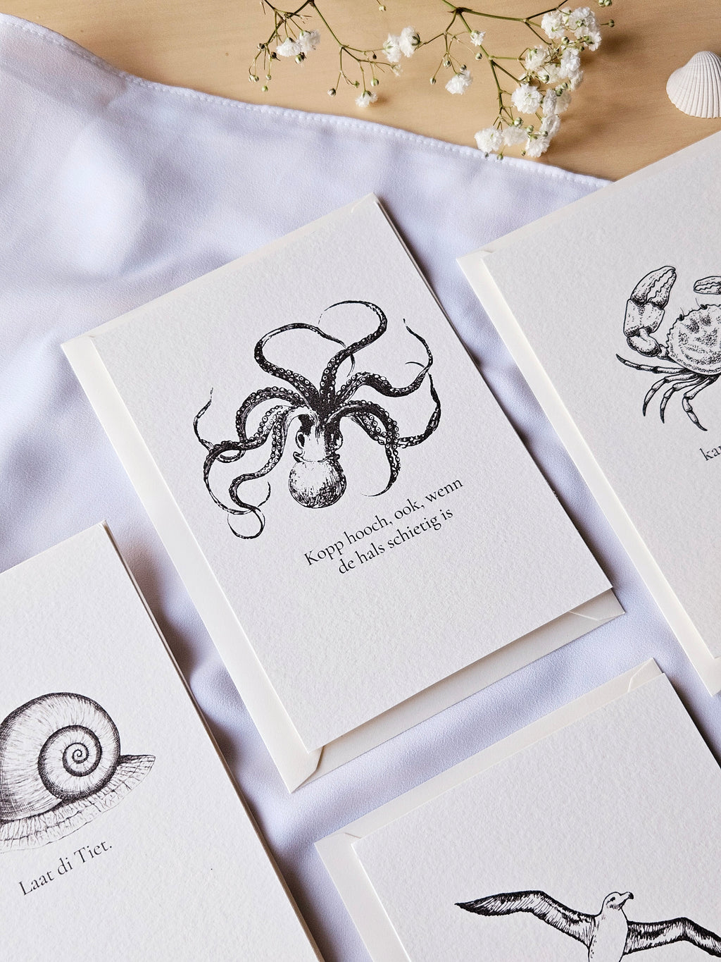 6er Set plattdeutsche maritime Kartenreihe