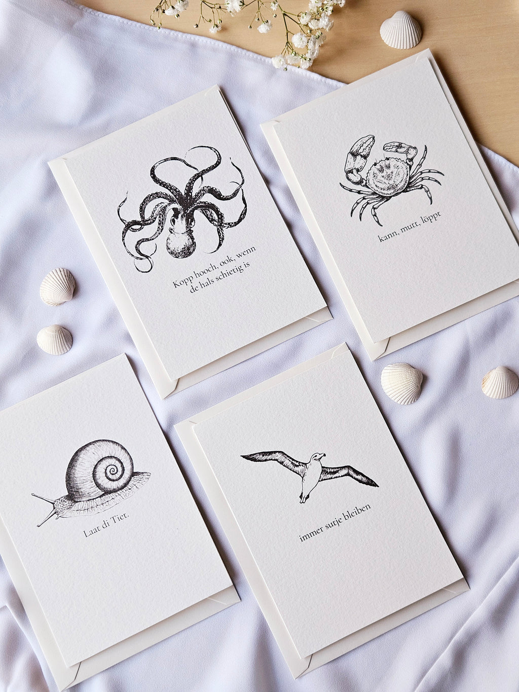 6er Set plattdeutsche maritime Kartenreihe