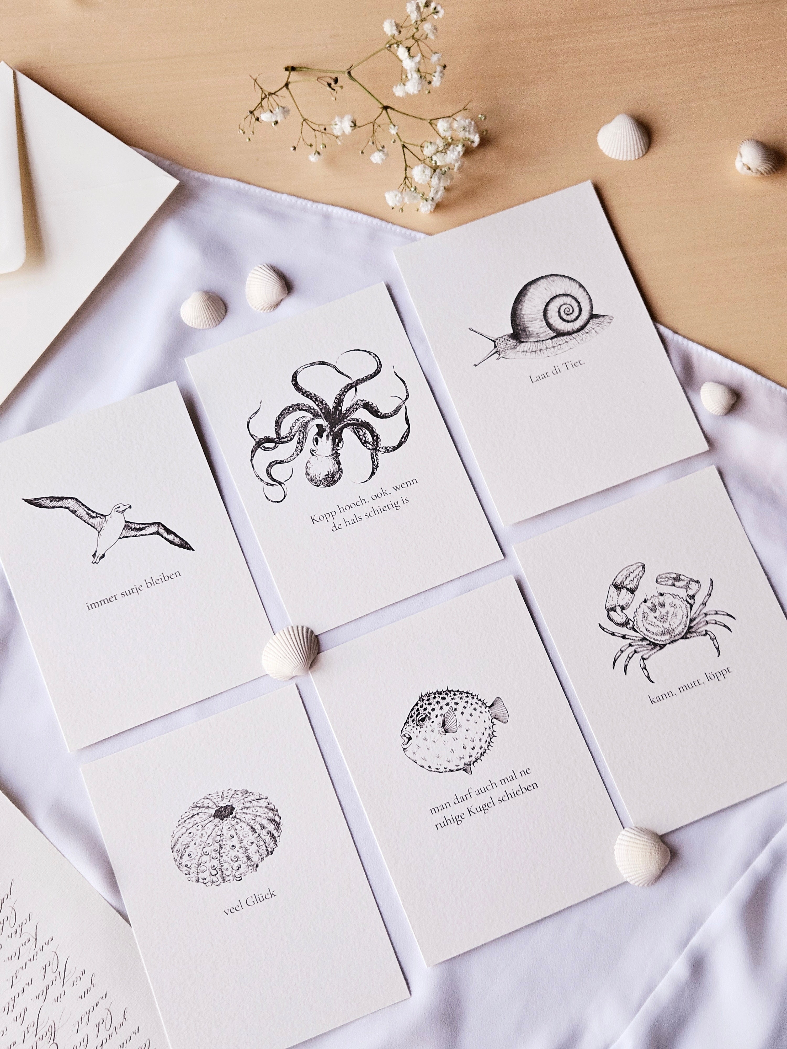 6er Set plattdeutsche maritime Kartenreihe