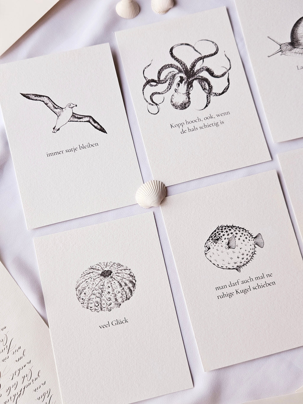 6er Set plattdeutsche maritime Kartenreihe