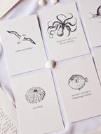 6er Set plattdeutsche maritime Kartenreihe