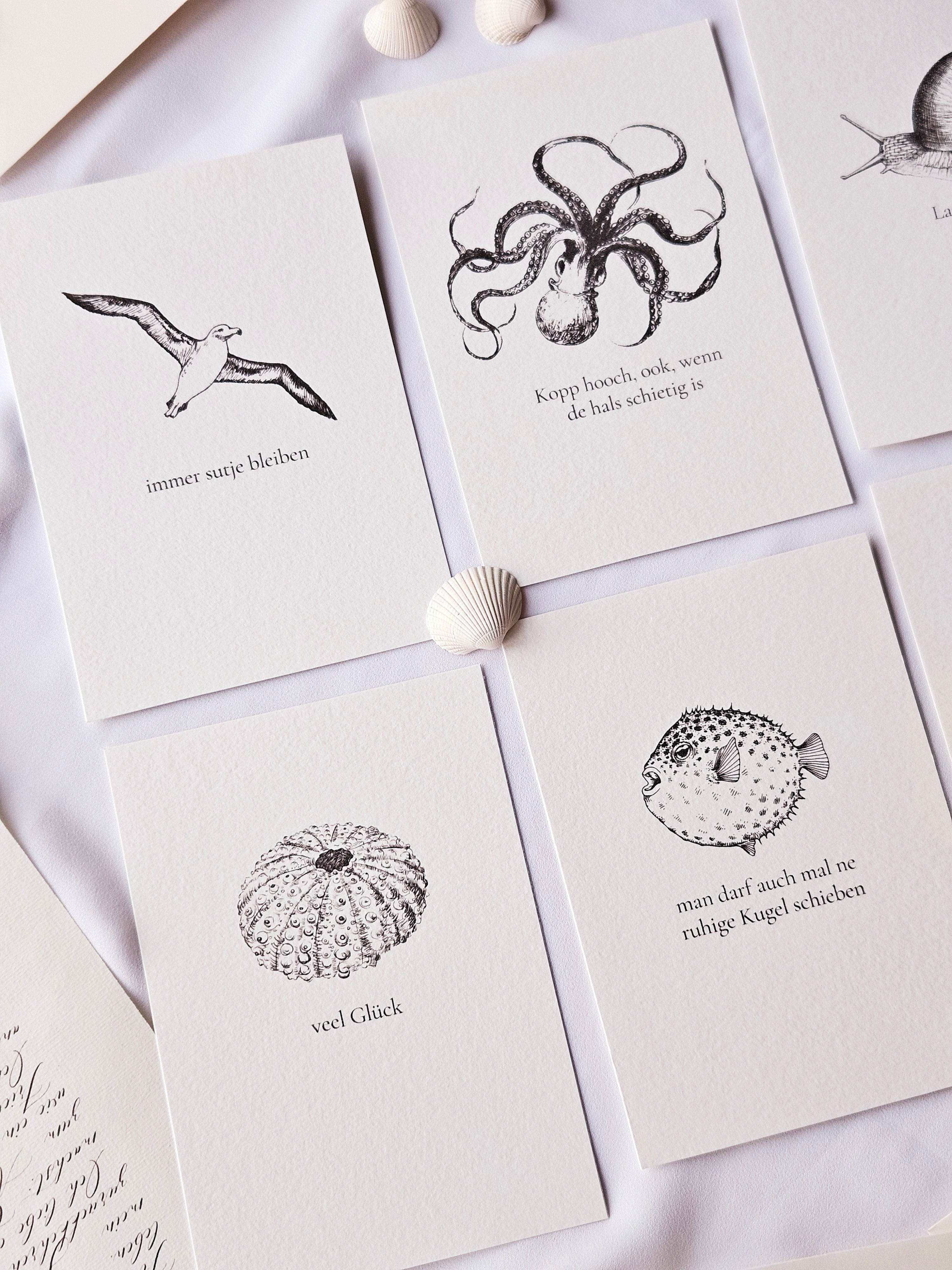 6er Set plattdeutsche maritime Kartenreihe